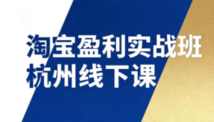 淘宝盈利实战班杭州线下课12月26-28日(音频+字幕)，帮你掌握SOP流程+12门核心技术-大象聊项目