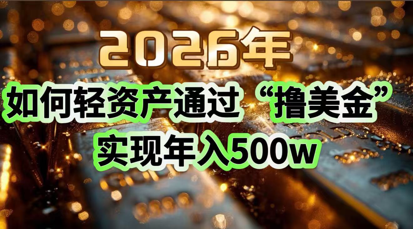 2026年如何轻资产通过“撸美金”实现年入500w-大象聊项目