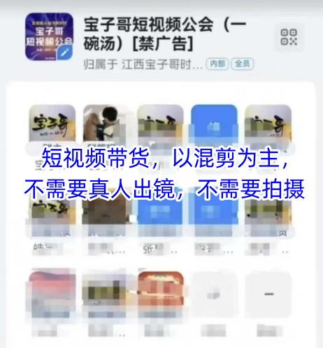 宝子哥头部团队短视频带货，以混剪为主，不需要真人出镜，不需要拍摄【更新26年1月】-大象聊项目