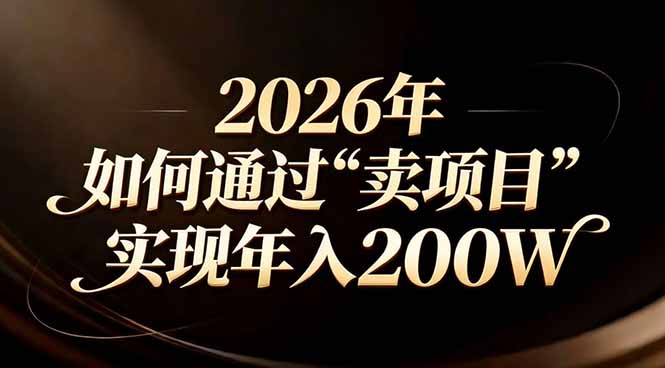 站在2026年的十字路口：一个普通人如何通过卖项目实现年入200万-大象聊项目