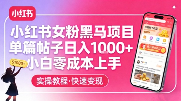 小红书女粉黑马项目，单篇帖子日入1k+，小白零成本上手-大象聊项目