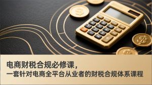 电商财税合规必修课，是一套针对电商全平台从业者的财税合规体系课程-大象聊项目