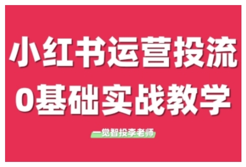 小红书运营投流，小红书广告投放从0到1的实战课，学完即可开始投放(更新26年)-大象聊项目
