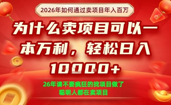 一单净利润1K+，26年想年入100个W，死磕卖项目就够了【揭秘】-大象聊项目