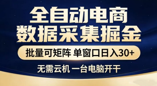 独家电商数据全自动采集项目，批量可矩阵，单窗口轻松日入3张+【揭秘】-大象聊项目