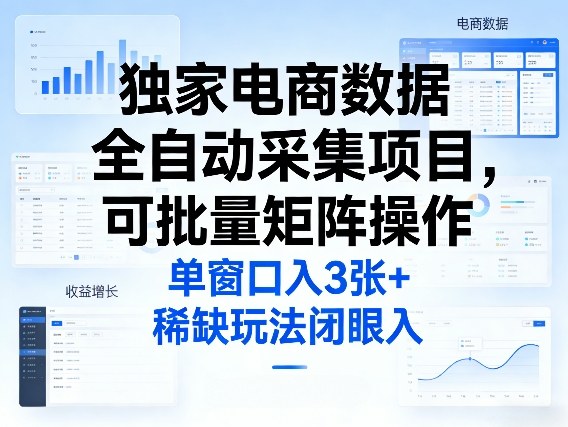 独家电商数据全自动采集项目，可批量矩阵操作，单窗口日入3张+，稀缺玩法闭眼入【揭秘】-大象聊项目