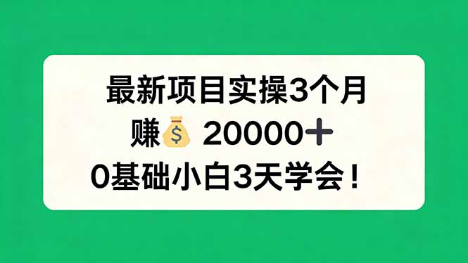 最新项目实操3个月，赚钱20000+，0基础小白3天学会！-大象聊项目