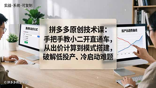 拼多多原创技术课：手把手教小二开直通车，从出价计算到模式搭建，破解低投产、冷启动难题-大象聊项目