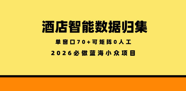 酒店智能数据归集，小众蓝海已经稳定半年之久，单窗口70+零成本矩阵开干【揭秘】-大象聊项目