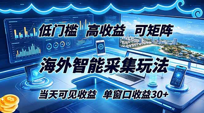 海外智能采集玩法，低门槛高单价可矩阵，当天可见收益，单窗口30+-大象聊项目