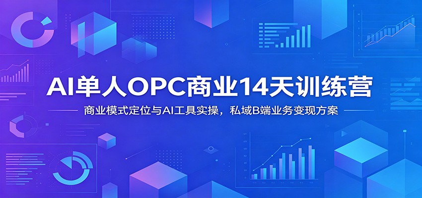 AI单人OPC商业14天训练营：商业模式定位与AI工具实操，私域B端业务变现方案-大象聊项目