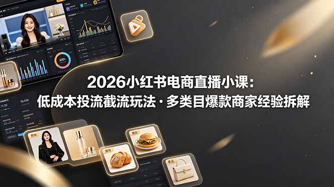 2026小红书电商直播小课，低成本投流截流玩法，多类目爆款商家经验完整拆解教学-大象聊项目