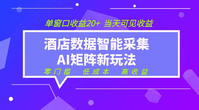 2026酒店数据采集ai智能矩阵新风口 低成本 高收益 当天见收益 单窗口20+-大象聊项目
