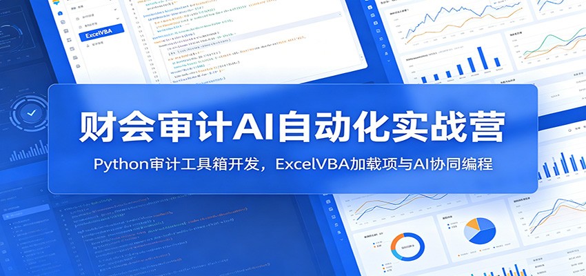 财会审计AI自动化实战营：Python审计工具箱开发，ExcelVBA加载项与AI协同编程-大象聊项目