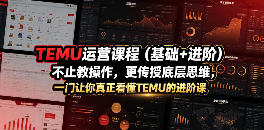 TEMU运营课程(基础+进阶)，不止教操作，更传授底层思维，一门让你真正看懂TEMU的进阶课-大象聊项目