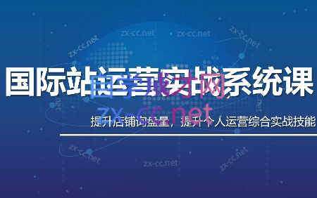 白老师·国际站运营实战系统(高质量询盘增长课)(更新)-大象聊项目