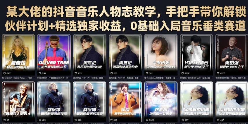 某大佬的抖音音乐人物志教学，手把手带你解锁伙伴计划+精选独家收益，0基础入局音乐垂类赛道-大象聊项目