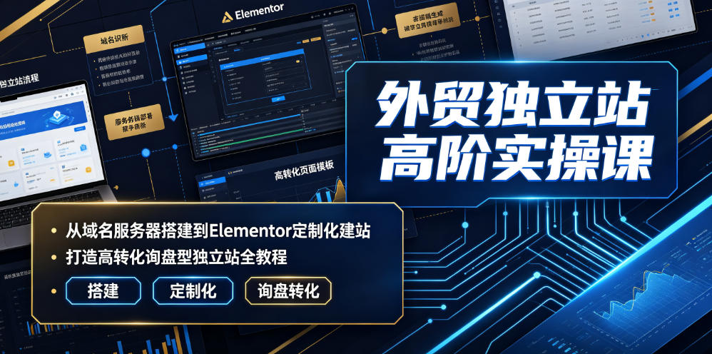 外贸独立站高阶实操课｜从域名服务器搭建到Elementor定制化建站，打造高转化询盘型独立站全教程-大象聊项目