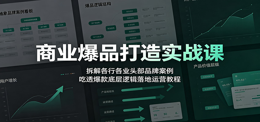 商业爆品打造实战课：拆解各行各业头部品牌案例，吃透爆款底层逻辑落地运营教程-大象聊项目