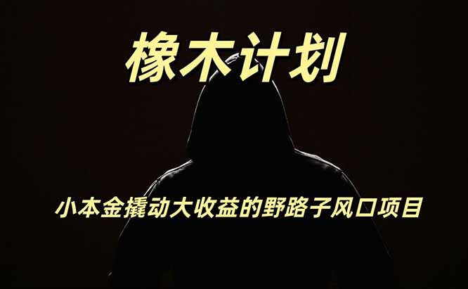 橡木计划，小投入撬动高回报的风口野路子项目，一天投入2小时左右-大象聊项目