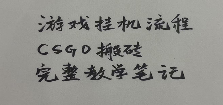 游戏挂机全流程笔记分享，CSGO游戏搬砖，小白看了当天学会见收益-大象聊项目