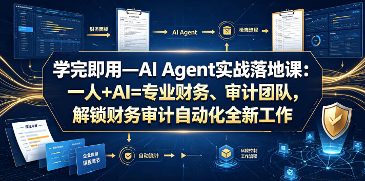 学完即用—AI Agent实战落地课：一人+AI=专业财务、审计团队，解锁财务审计自动化全新工作模式(更新0818)-大象聊项目