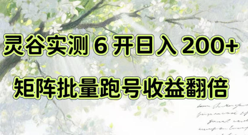 一台电脑就能做！灵谷实测6开日入200+，矩阵批量跑号收益翻倍【揭秘】-大象聊项目