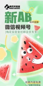 梅花实验室2024年AB技术视频号AB合成破解版-大象聊项目
