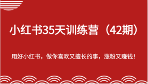小红书35天训练营(42期)-用好小红书,做你喜欢又擅长的事,涨粉又赚钱!-大象聊项目