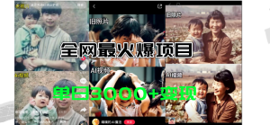 （11546期）全网爆火的AI让老照片动起来教程，蹭热点日赚3000+，内含免费工具一键…-大象聊项目