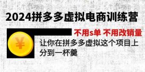 2024拼多多虚拟电商训练营 不用s单 不用改销量 在拼多多虚拟上分到一杯羹-大象聊项目