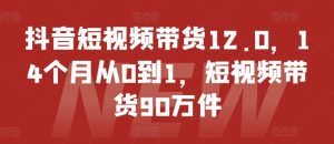 抖音短视频带货12.0，14个月从0到1，短视频带货90万件-大象聊项目