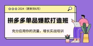 2024拼多多单品爆款打造班，充分应用你的流量，增长实战培训(更新6月)-大象聊项目