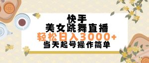 （11565期）快手美女跳舞直播，轻松日入3000+简单无脑-大象聊项目