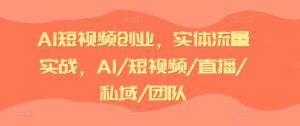 AI短视频创业，实体流量实战，AI/短视频/直播/私域/团队-大象聊项目