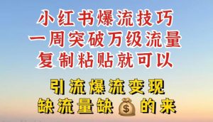 小红书爆流技巧，一周突破万级流量，复制粘贴就可以，引流爆流变现【揭秘】-大象聊项目