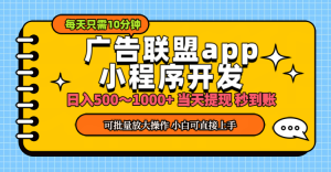 （11645期）小程序开发 广告赚钱 日入500~1000+ 小白轻松上手！-大象聊项目