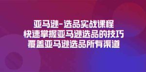 亚马逊选品实战课程，快速掌握亚马逊选品的技巧，覆盖亚马逊选品所有渠道-大象聊项目