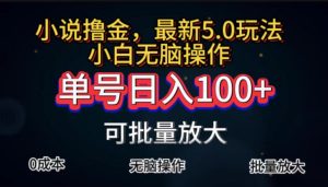 （11651期）全自动小说撸金，单号日入100+小白轻松上手，无脑操作-大象聊项目