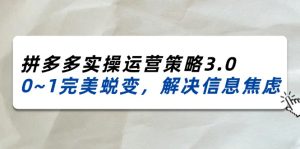 （11658期）2024_2025拼多多实操运营策略3.0，0~1完美蜕变，解决信息焦虑（38节）-大象聊项目