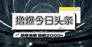 （11665期）撸爆今日头条 简单无脑操作 日收2000+-大象聊项目
