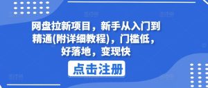 网盘拉新项目，新手从入门到精通(附详细教程)，门槛低，好落地，变现快-大象聊项目