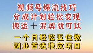 视频号爆流技巧，分成计划轻松变现，搬运 +混剪就可以，一个月轻松五位数稳定项目【揭秘】-大象聊项目
