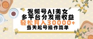 （11684期）视频号AI美女，轻松月入30000+,操作简单轻松上手-大象聊项目