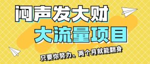 （11688期）闷声发大财，大流量项目，月收益过3万，只要你努力，两个月就能翻身-大象聊项目