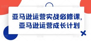 亚马逊运营实战必修课，亚马逊运营成长计划-大象聊项目