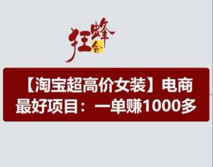 淘宝超高价女装项目，电商最好赛道，一单赚1000多-大象聊项目