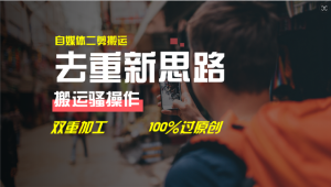 去重新思路，详细教你自媒体视频二剪搬运技术，自己加工双重去重100%过原创-大象聊项目