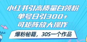 (11692期)小红书引高质量白领粉,单号日引300+,可放大操作,爆粉秘籍!30s一个作品-大象聊项目