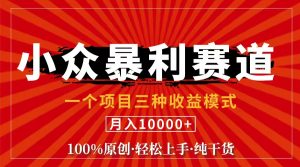 (11695期)视频号【中老年粉深信不疑】小众赛道 100%原创 手把手教学 新号3天收益…-大象聊项目